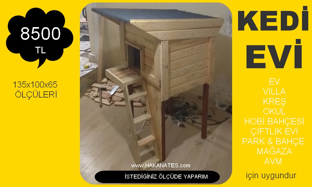 KEDİ 1